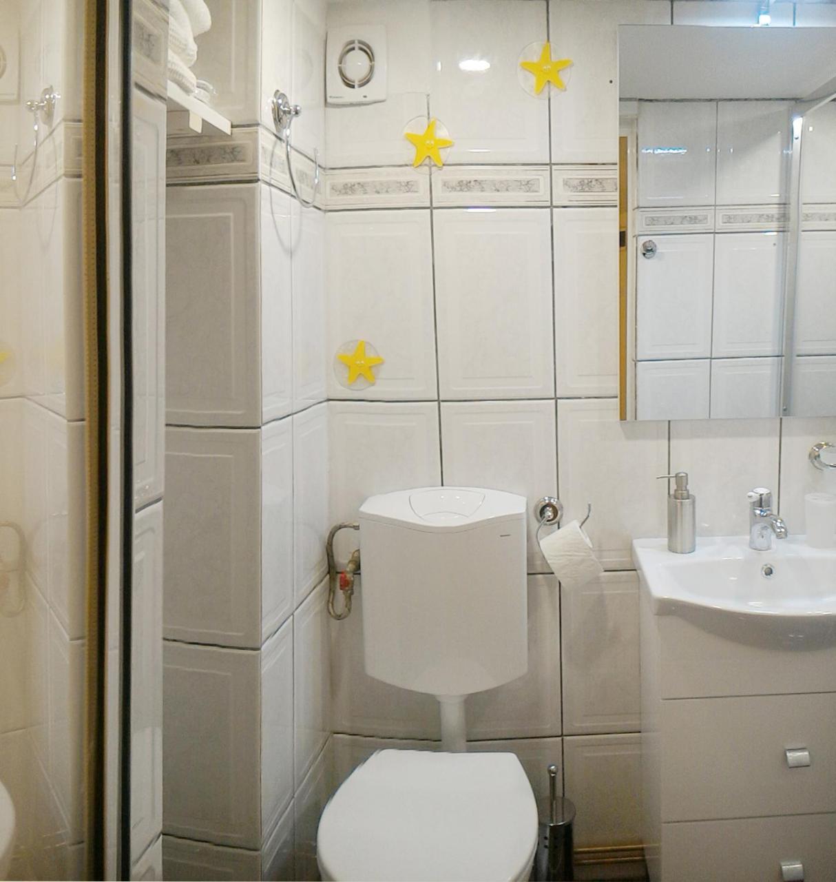 Republicii Rustic Apartament In Brasov City Center Exteriör bild